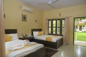 Hotel Rainforest