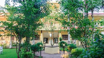 Hotel Rainforest