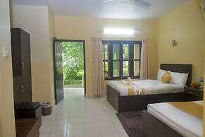 Hotel Rainforest