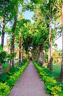 Hotel Rainforest