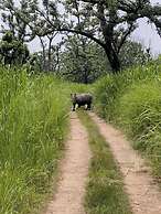 Wildlife Adventure Resort