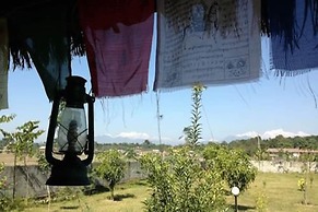Wildlife Adventure Resort