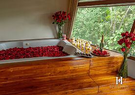 Hillary Nature Resort Spa