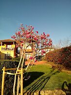 Antojanes