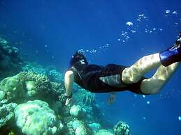 Red Sea Relax