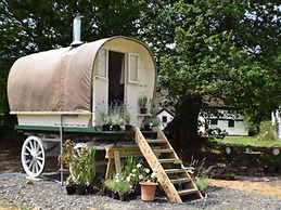Hay Meadow Farm