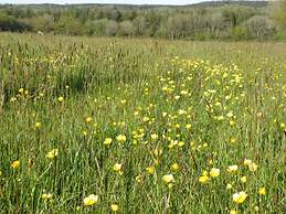 Hay Meadow Farm