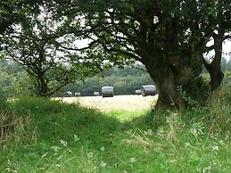 Hay Meadow Farm