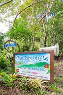 The Epiphyte Bed & Breakfast