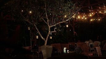 Eco Arenal Hotel