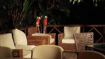 Eco Arenal Hotel