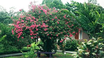 Eco Arenal Hotel