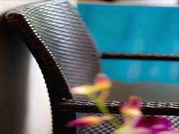 Synergy Samui