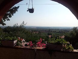 The Mountain Gardens