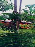 Villa Rodeo Lodge