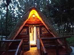 Nyungu Yamawe Forest Park