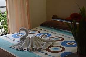 Cabinas Bachelor