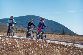 Trysil