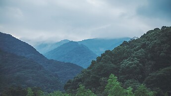 SOKI ATAMI