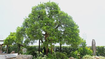 SOKI ATAMI
