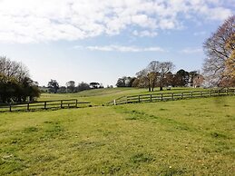 3 Painters Field