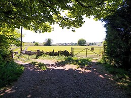 The Nest
