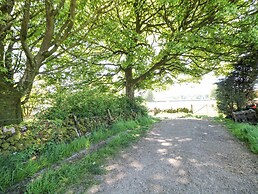 Meadow View