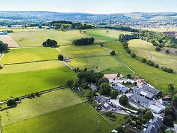 Meadow View