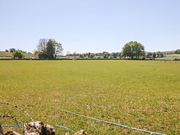 Meadow View