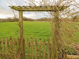 Sarngwm