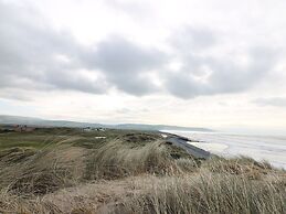 Y Felin - Celyn