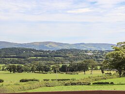 Delfryn