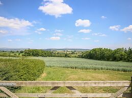 The Walton