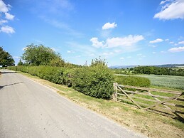 The Park