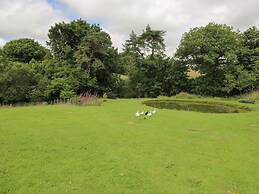Blaenffynnon Bach