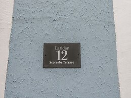 Laridae