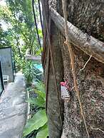 BeachBox KohChang
