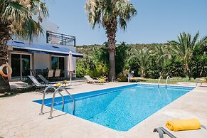 Aphrodite Villa