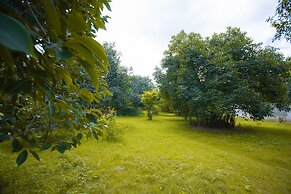Nature Village Resort