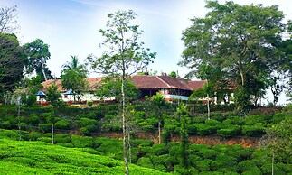 Standard Double Room-wayanad