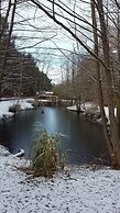 Hollicarrs - Woodland Lodge