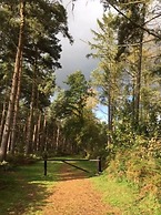 Hollicarrs - Woodland Lodge