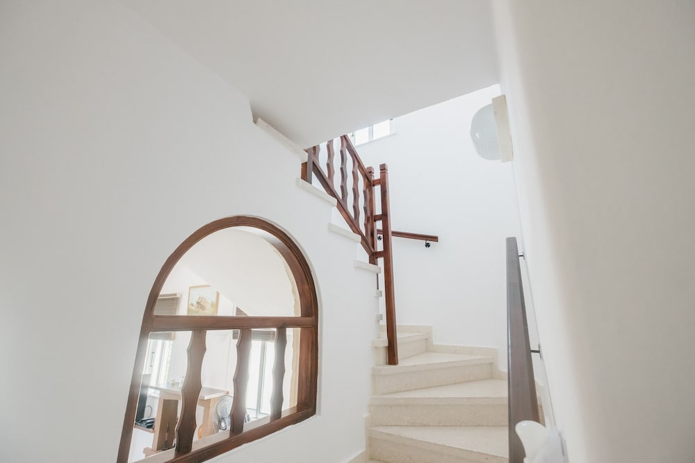 Chrysanthemum Villa