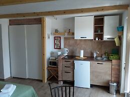 Apartment Mir