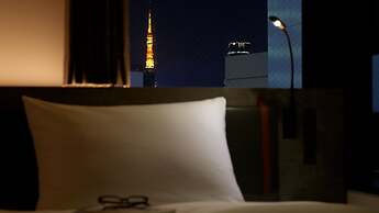 the b ginza