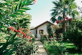Beautiful Village Bungalow