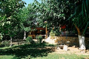 Beautiful Village Bungalow