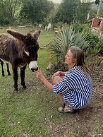 Rancho con Caballos El Reencuentro