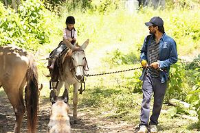 Rancho con Caballos El Reencuentro