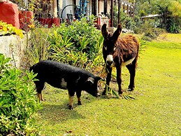 Rancho con Caballos El Reencuentro